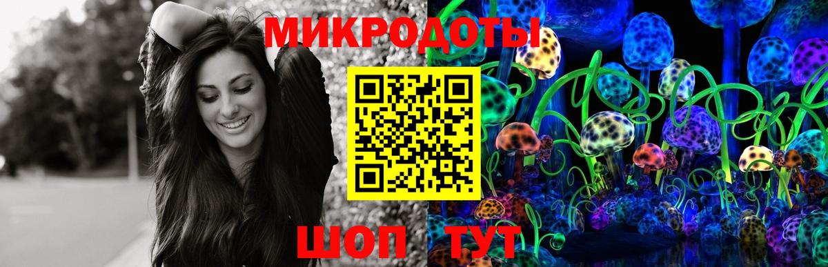 Псилоцибиновые грибы GOLDEN TEACHER Каменск-Шахтинский