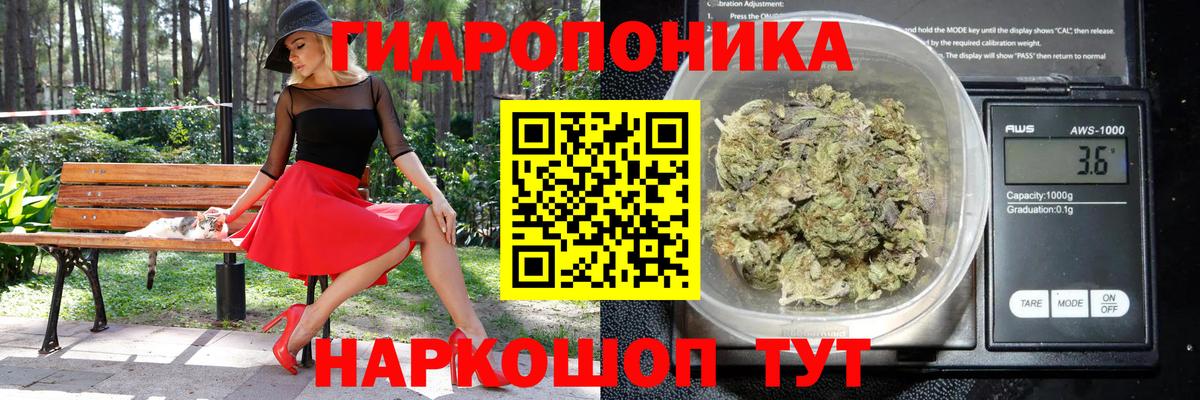 Марихуана White Widow  Шишки марихуана сатива  Марихуана индика  Вход с VPN  Каменск-Шахтинский  МАРИХУАНА OG Kush 